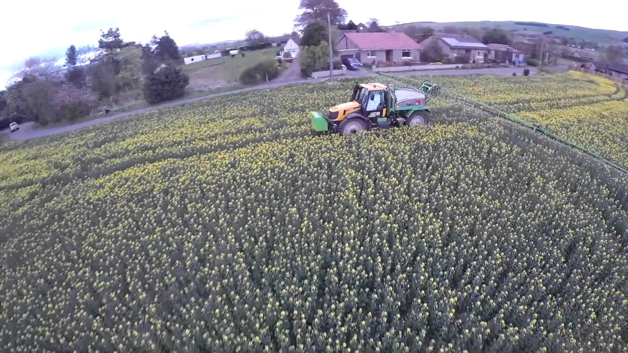 JCB fastrac 2170 self propelled spraying 2017