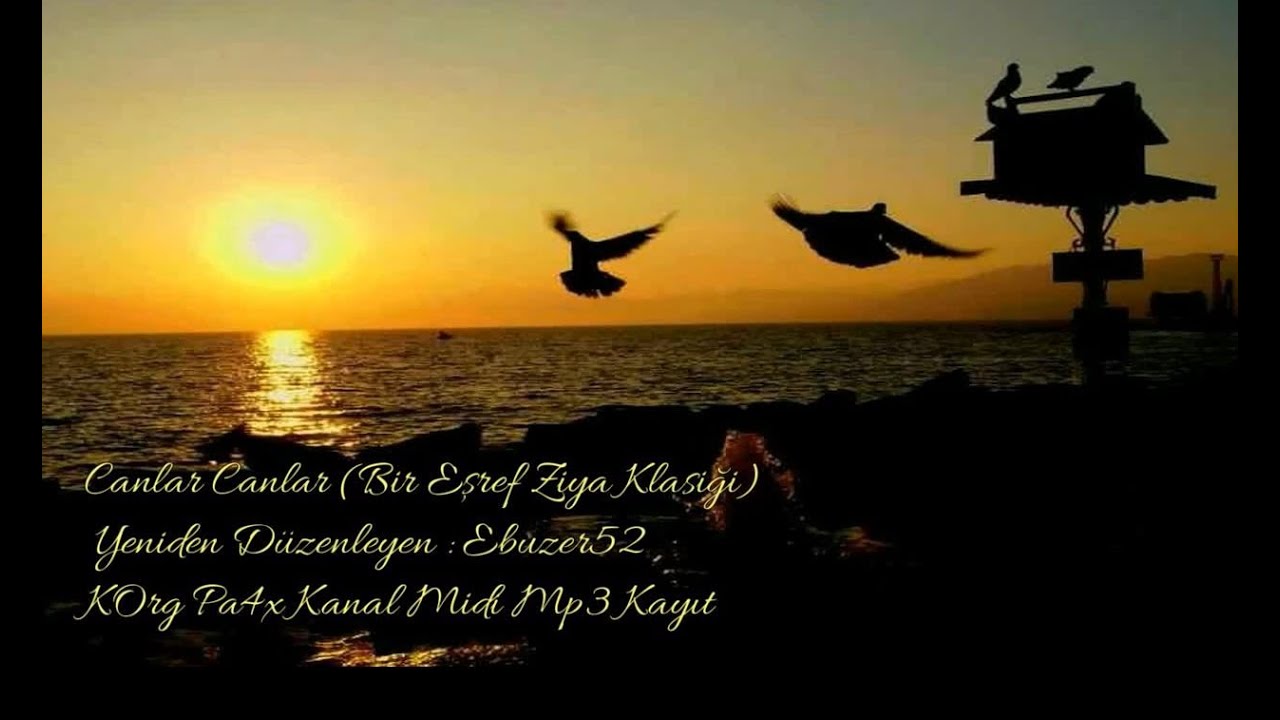 Canlar Canlar - E. Ziya - Muhteşem Bir Fon Ezgi Altyapı -  Pa4x NEXT Midi - Mp3 Kanal Kayıt