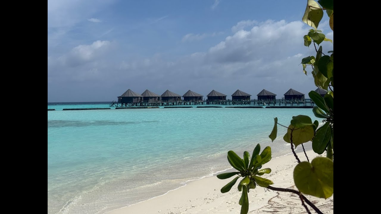 Around Komandoo Island in 2025