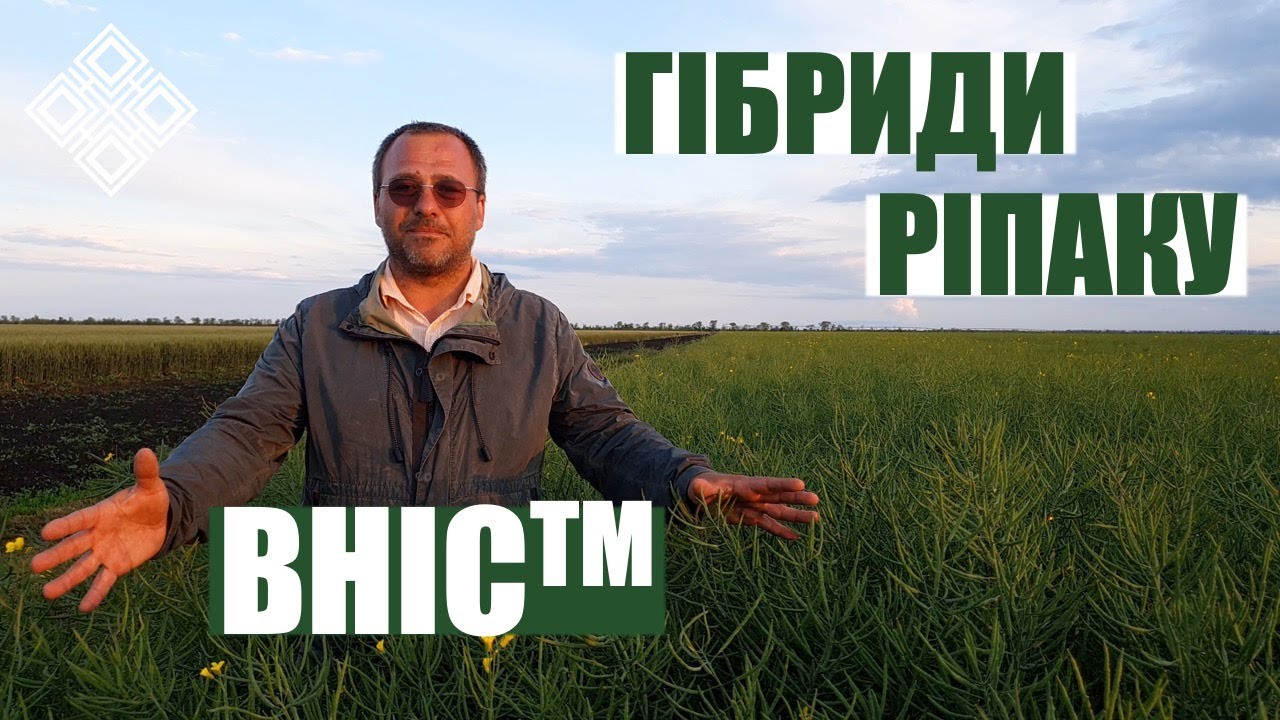 Складова роль селекції в структурі врожаю