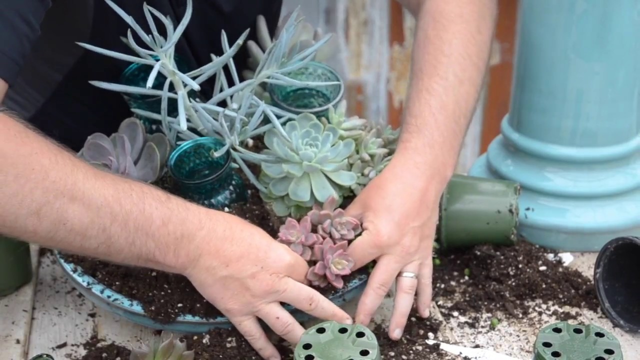 Build a Succulent Bird Bath with Candle Holders 🍃  || West Coast Gardens