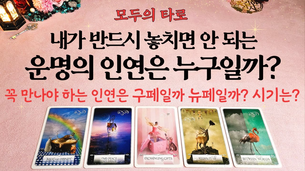 [타로] 내가 꼭 만나야 하는! 놓치지 말아야 하는 인연! 구페? 뉴페?
