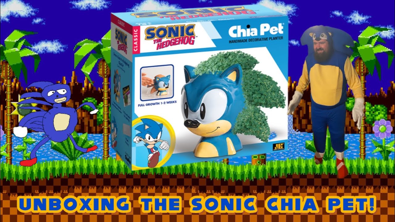 Unboxing the Sonic Chia Pet and learning if the commercials were telling the truth!