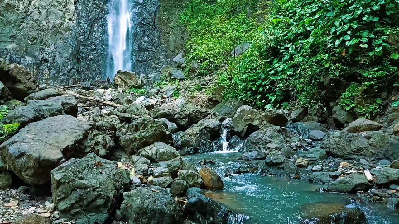 Relaxing River Sounds 11 Hours – Peaceful Forest Ambience 1080p | White Noise for Sleep & Study