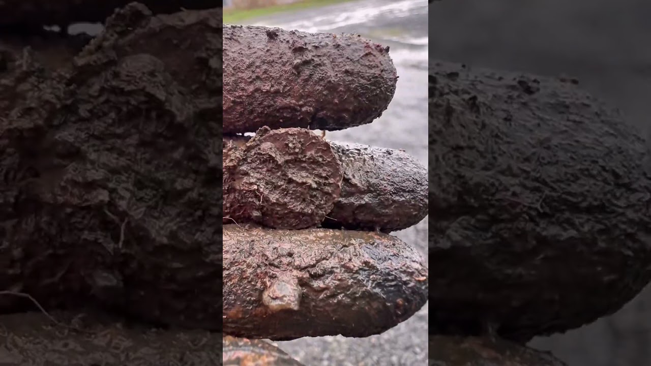 Грязь 