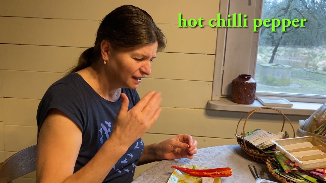 Весна идет: посевная, измельчитель веток Hecht, запеканка на завтрак