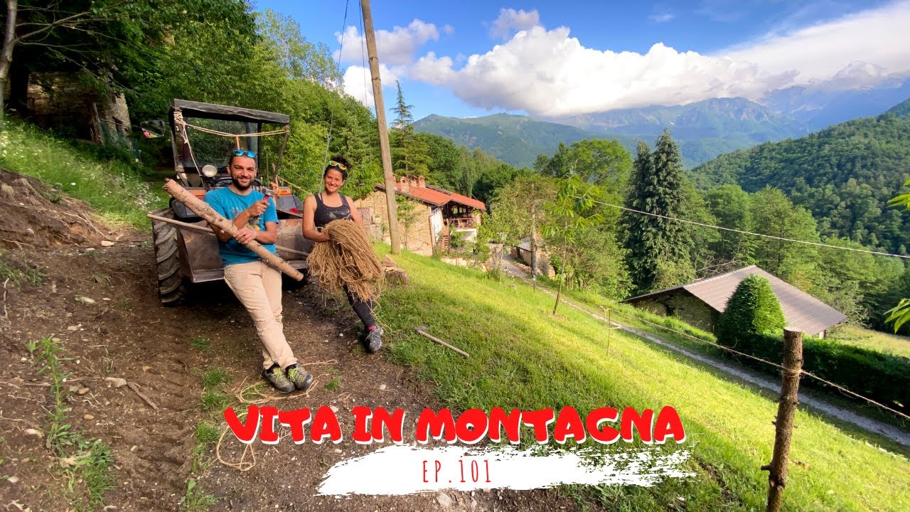 Vita in Montagna - Ep. 101 - sta per arrivare il margaro (pastore) con le mucche
