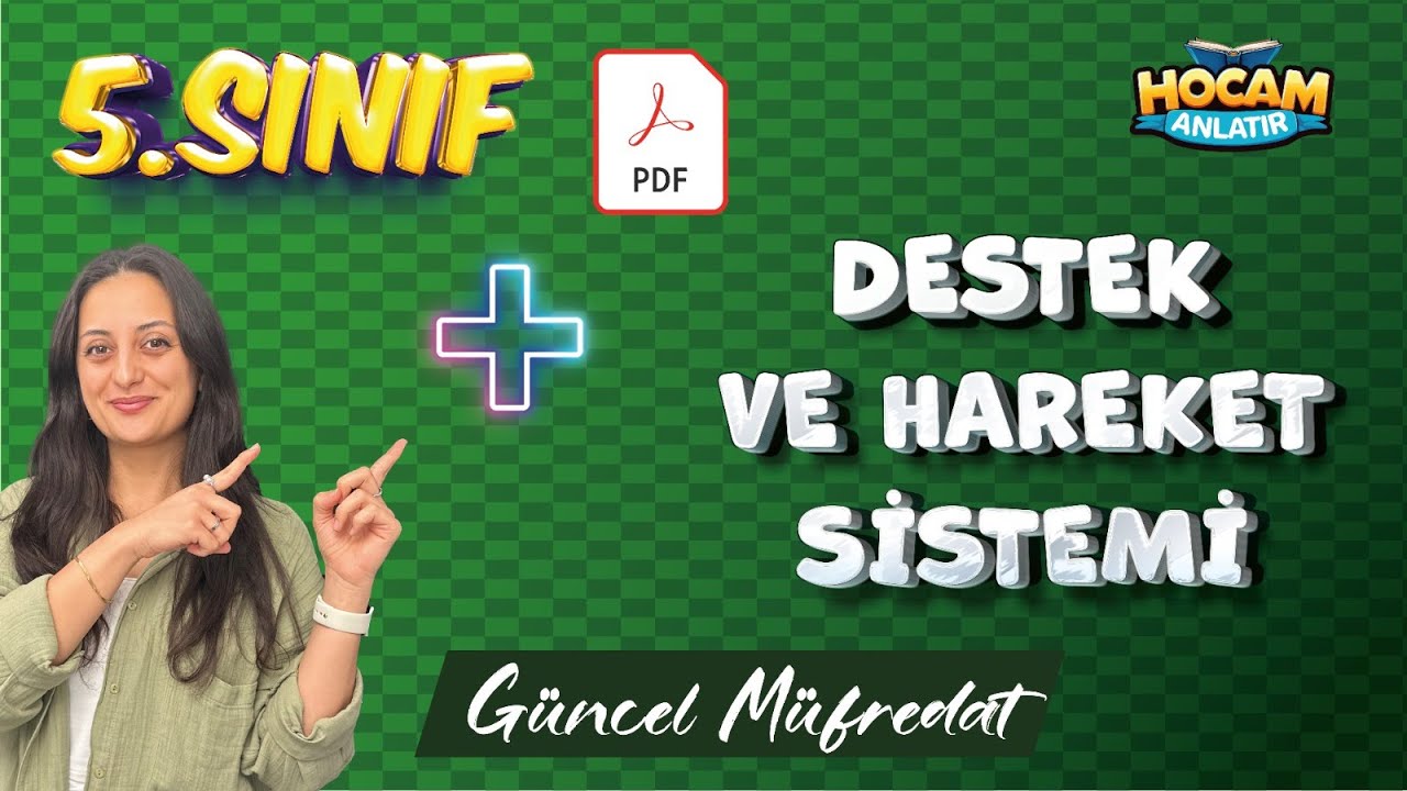 5. Sınıf Fen Bilimleri | Destek ve Hareket Sistemi Konu Anlatımı ve Soru Çözümü #5sınıf #2026