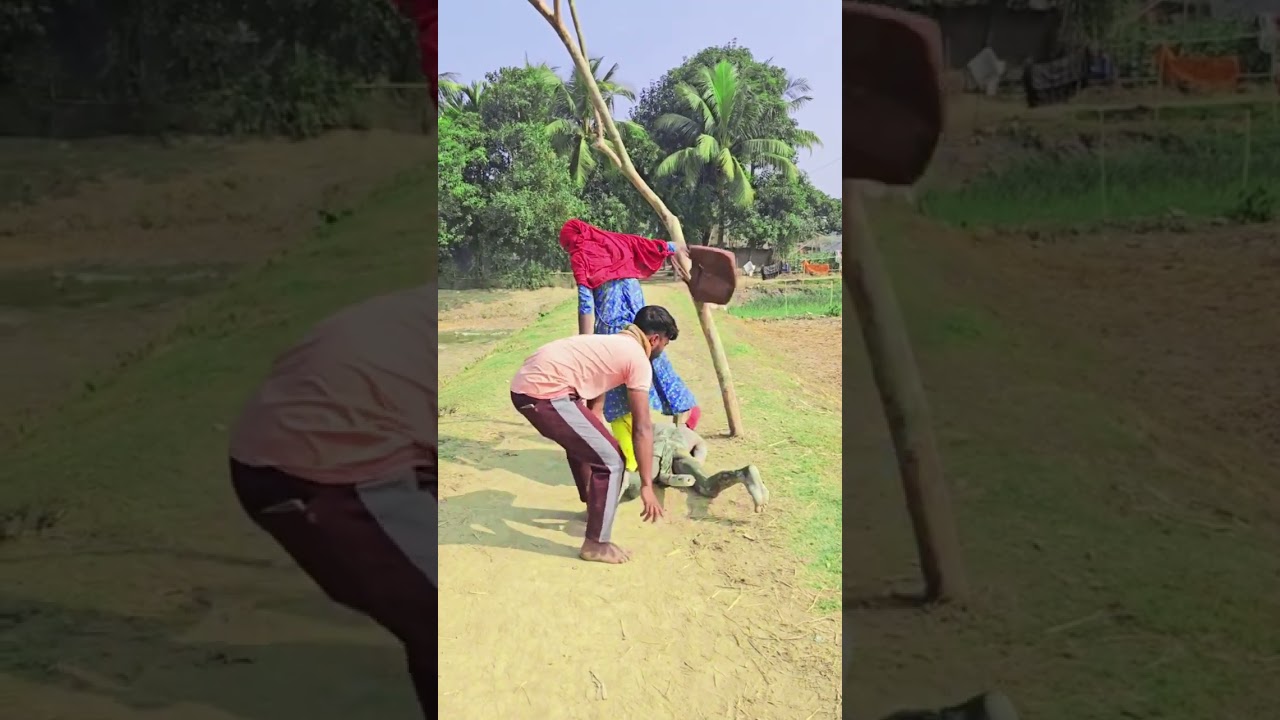 ভাই করে কি 