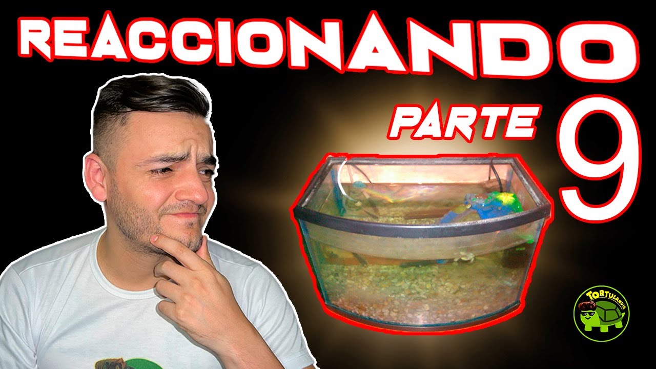 REACCIONANDO A HÁBITATS PARTE 9