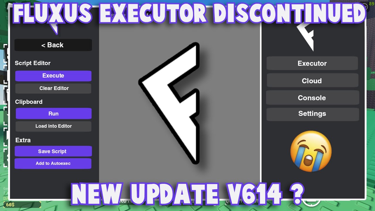 Fluxus Executor Discontinued | Fluxus Executor Mobile New Update And Latest Version - (News)