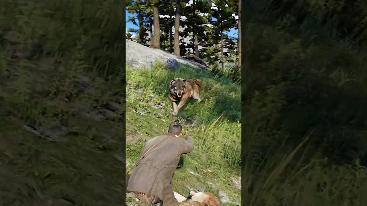 p1531 Simulate great survival skills , #shorts