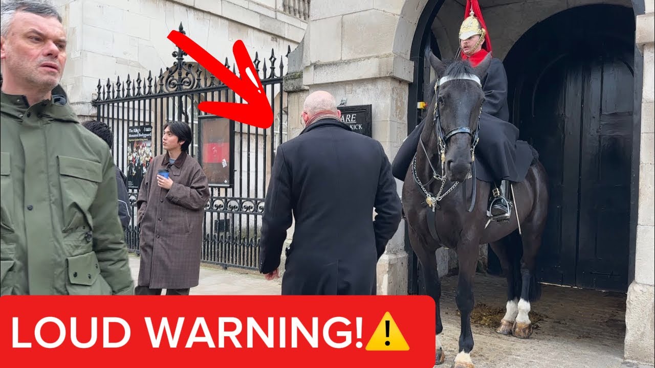 Loud Warning! Guard Yells at Tourist Near Royal Horse