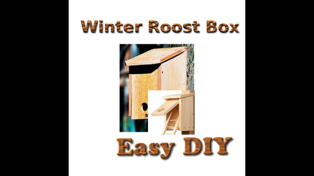 Winter Roost box - DIY