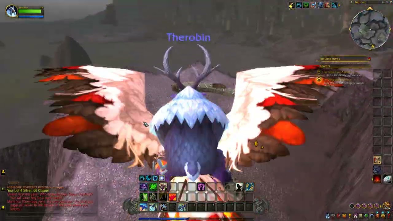 the robin