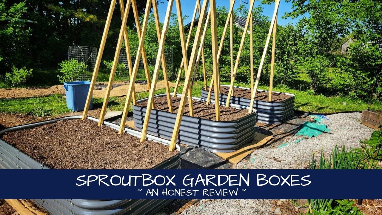 Мы протестировали Sproutbox, и вот наши впечатления.