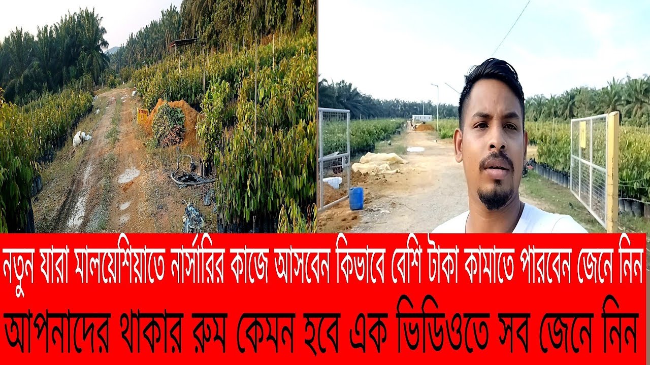 মালয়েশিয়ার নার্সারিতে কিভাবে কাজ করে নতুন যারা আসবেন ভিডিওটি দেখুন,