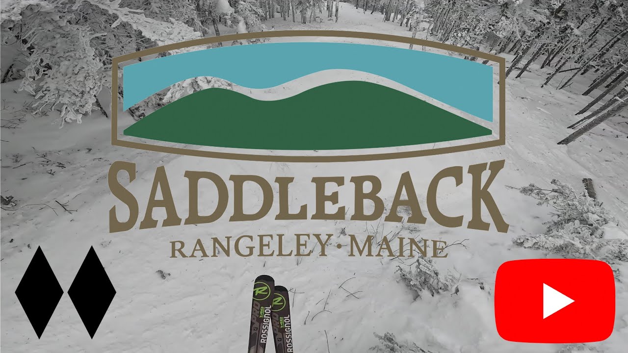 Saddleback - Muleskinner - Casablanca Glades