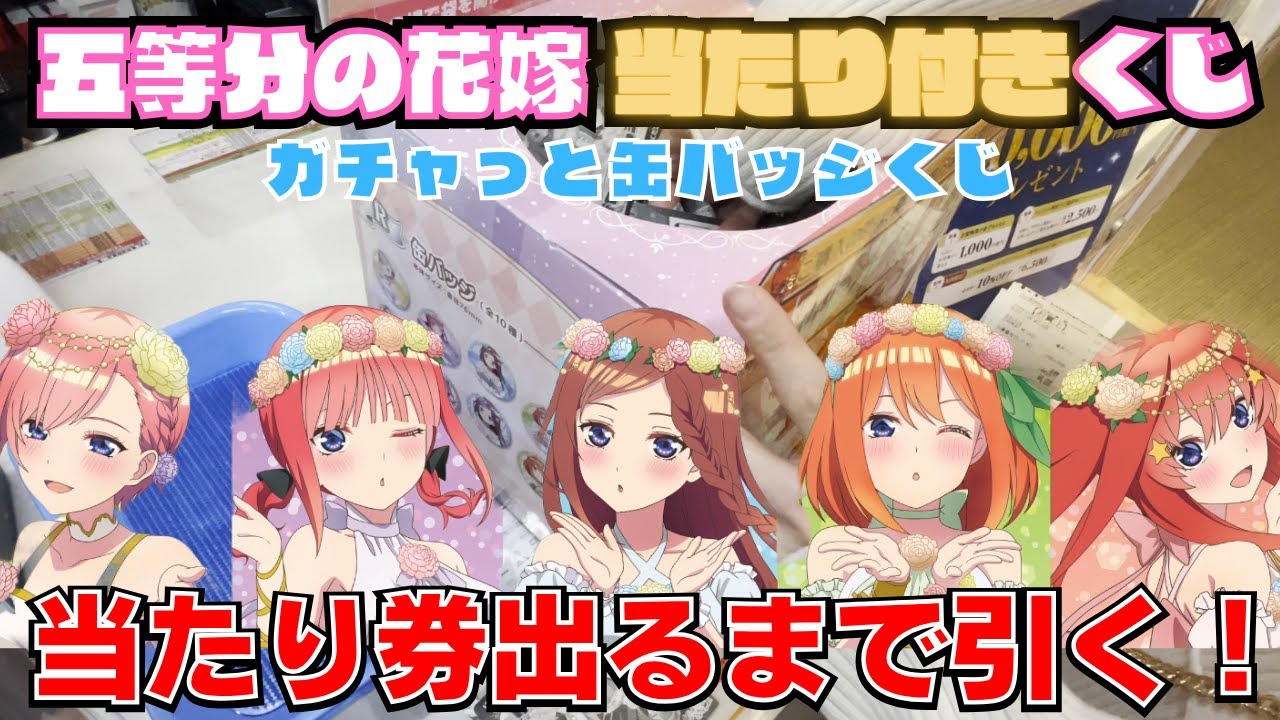 【五等分の花嫁くじ】大人気！五等分の花嫁ガチャっと缶バッジくじで超低確率の当たり出るまで引いたら衝撃の結果に！【五等分の花嫁 ガチャっと缶バッジ】#五等分の花嫁 #一番くじ #ごとよめ #一番賞
