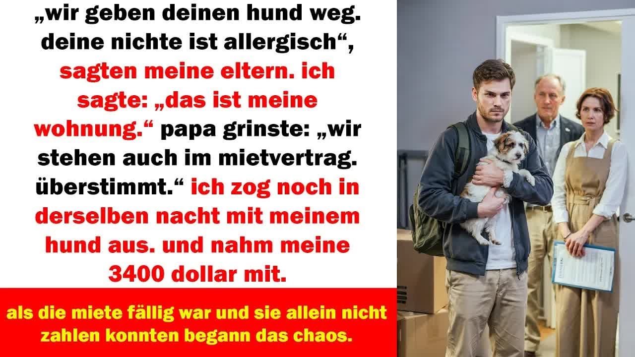 meine eltern wollten meinen hund weggeben wegen meiner nichte – ich zog aus und nahm alles mit