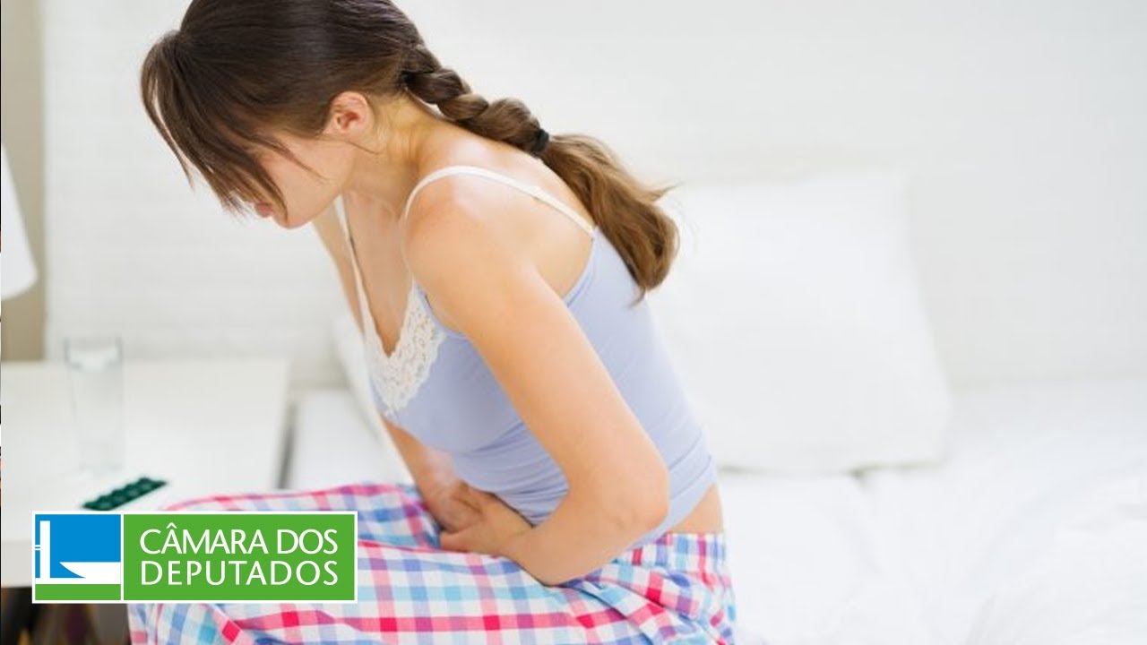 Defesa dos Direitos da Mulher - Programa de preven&ccedil;&atilde;o e tratamento da endometriose - 29/06/2022