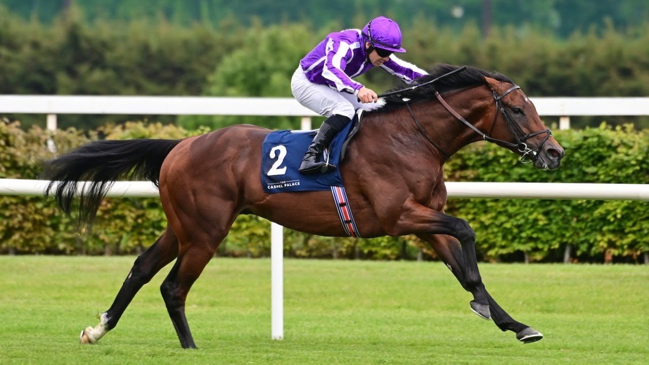 DELACROIX 4/1 for Derby after oozing class in Derby Trial