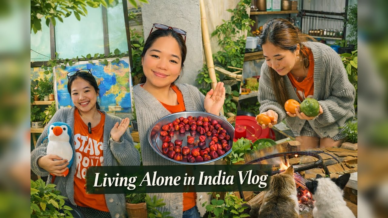 🪴Living Alone In India🩵Cooking Healthy food|Storing Fruits🍊And Studying No Rest🌸📚✨