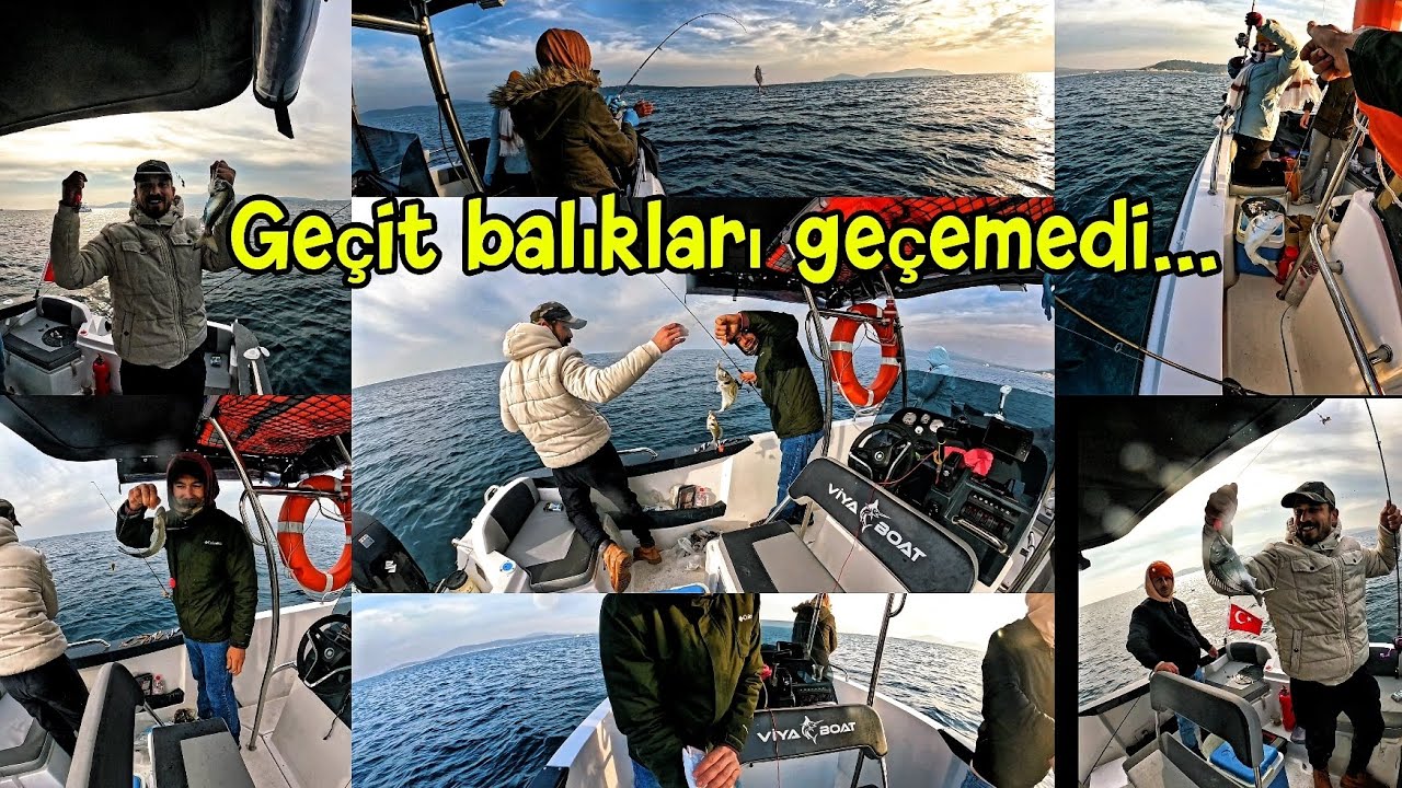 Çupralar, Mercanlar, Antenliler... İzmir 'de Geçit Balıkları 