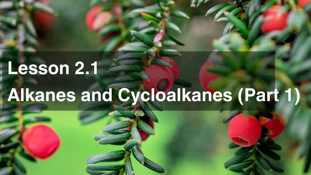 Lesson 2.1 Alkanes and Cycloalkanes (Part 1)