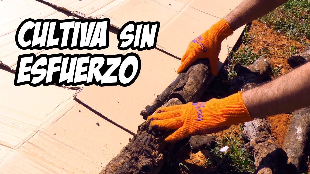 Ingeniosa Cama de CULTIVO Sin ESFUERZO 😱 | Experimentos | La Huerta de Ivan