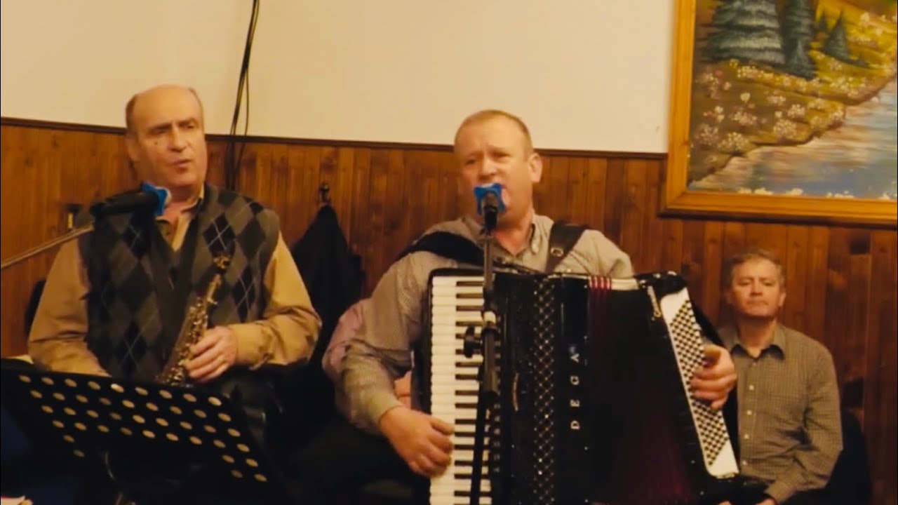 Frații Gabi Bărăian și Augustin Roman -Colaj de cântări