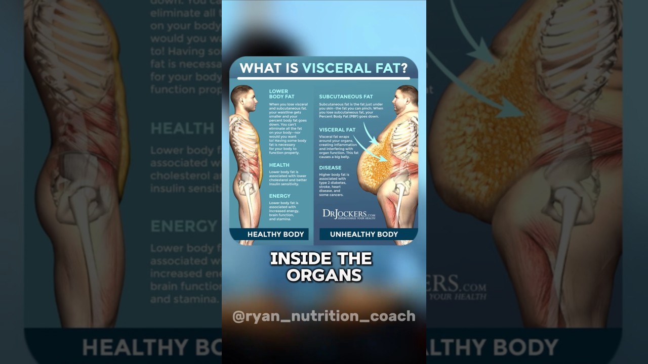 Different types of Fat