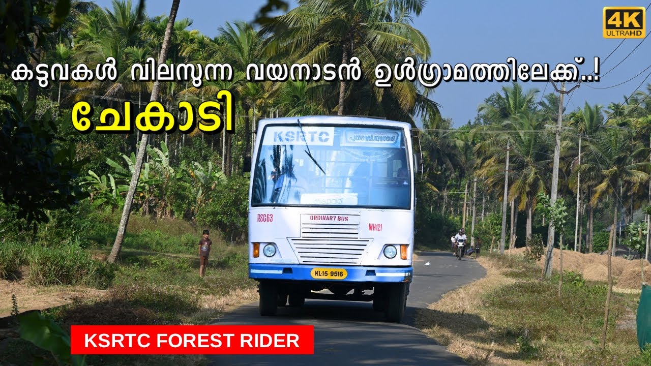 Sultan bathery to Chekadi village through Wayanad wildlife sanctuary | 4K