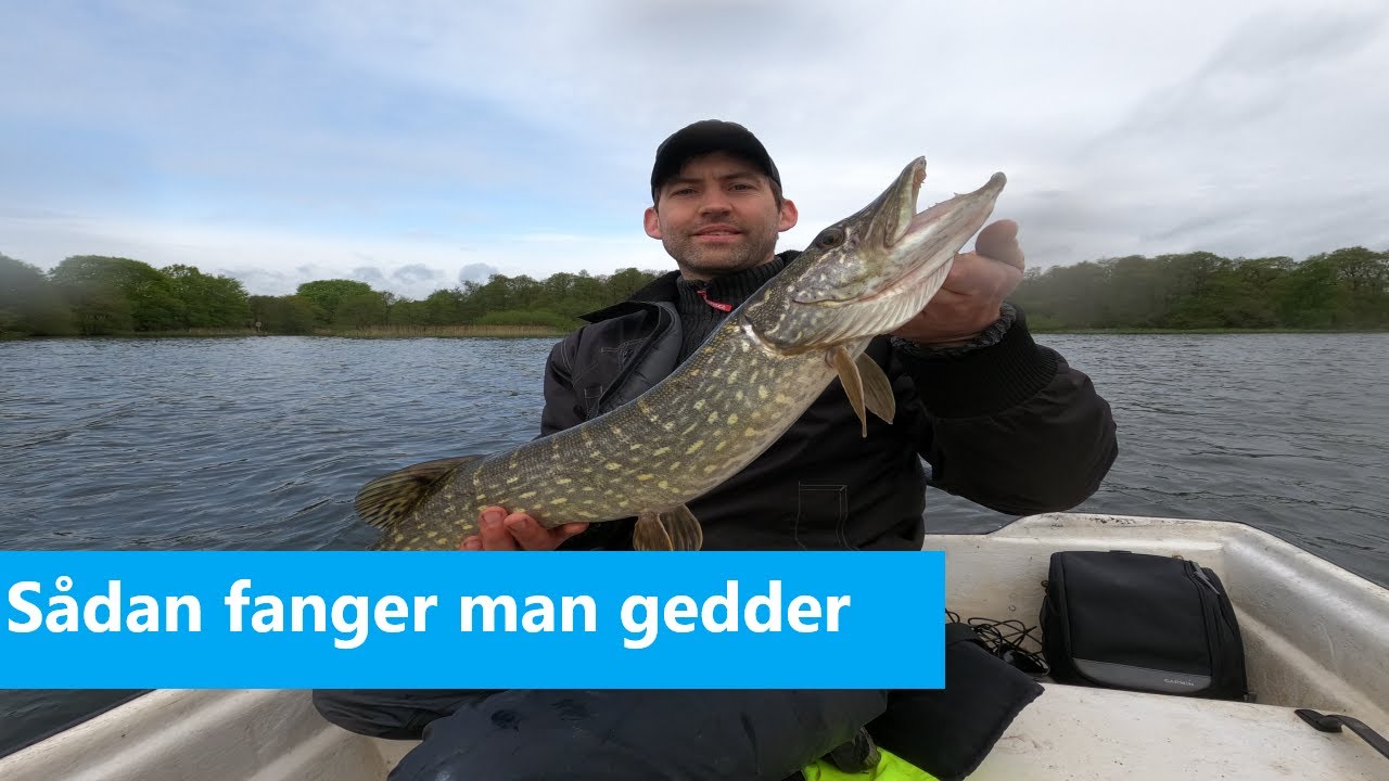 S&aring;dan fanger man gedder