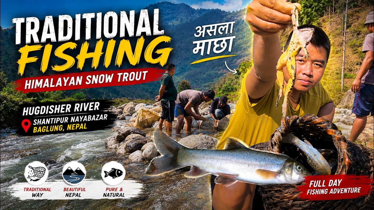 Village River Fishing in Nepal | Himalayan Snow Trout | असला माछा
