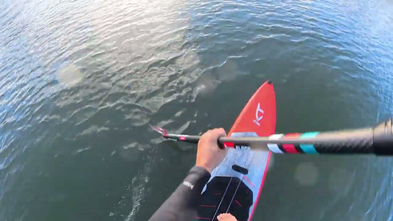 Flat Water Paddle Ups at Holland Park.
