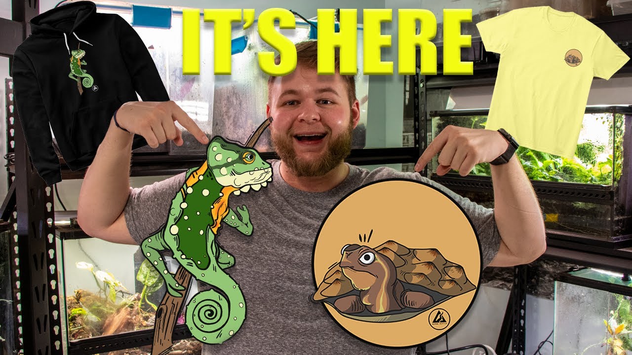 The REPTILE MERCH is finally here! | Alpha Reptile Merch :)
