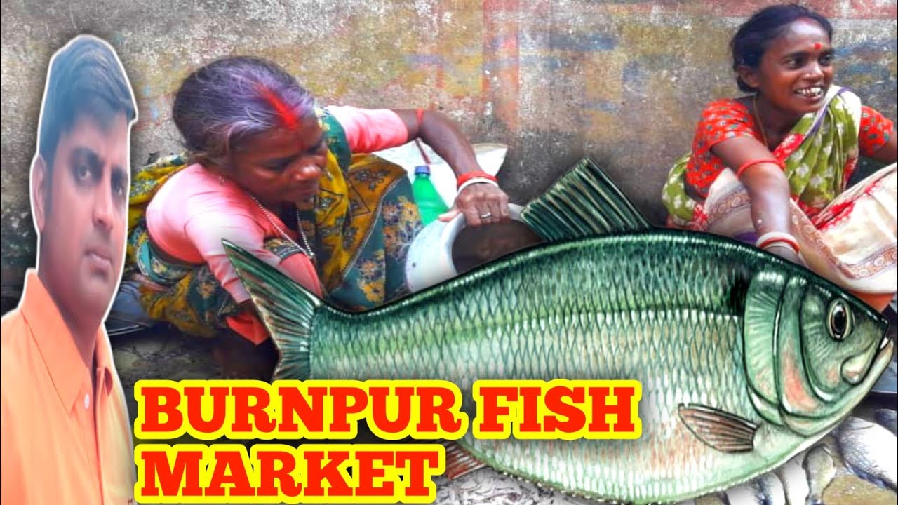 Fish market burnpur|rajiv choudhary vlogs|rajiv the adventure|fish video|fish market kolkata|fish
