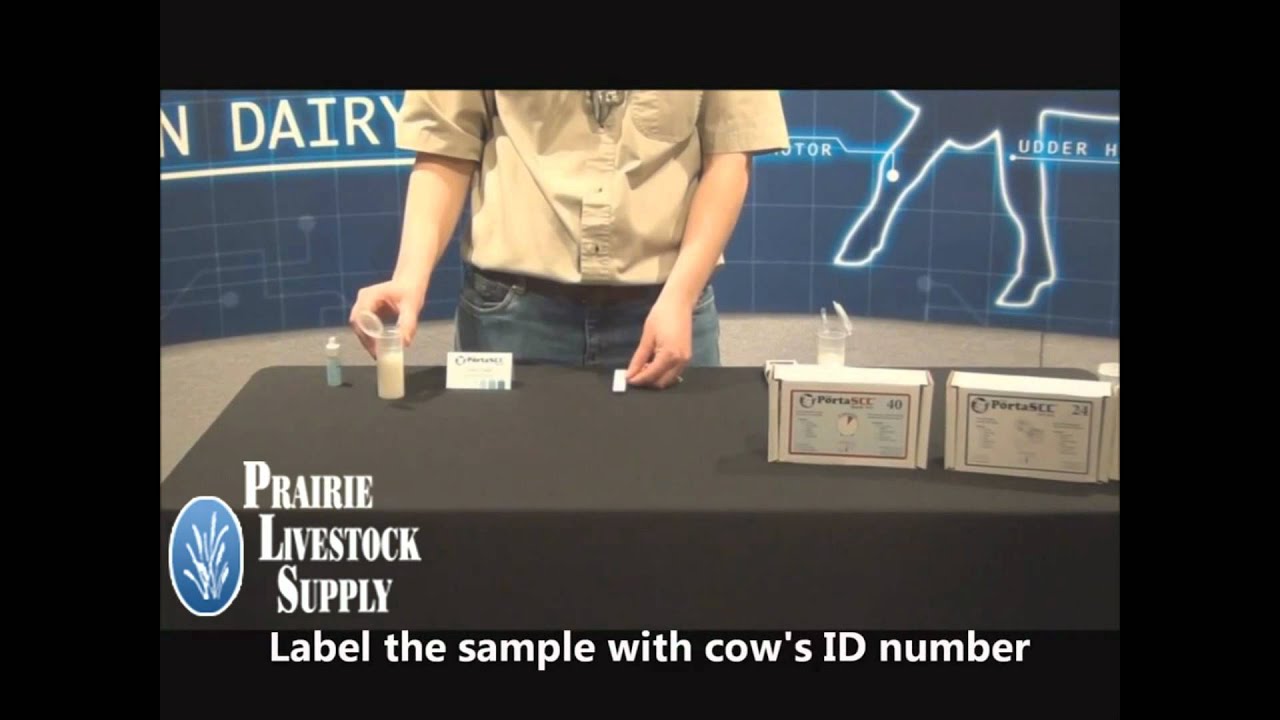 Porta Check SCC Milk Test