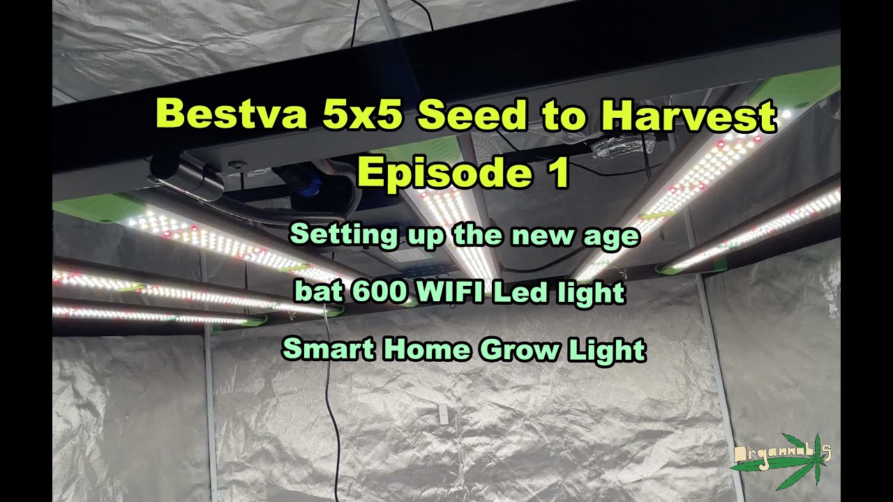 Smart Home Led! WIFI Controlled Grow Light Bestva Bat 600w ep1  Full Grow Light and Tent Unboxing
