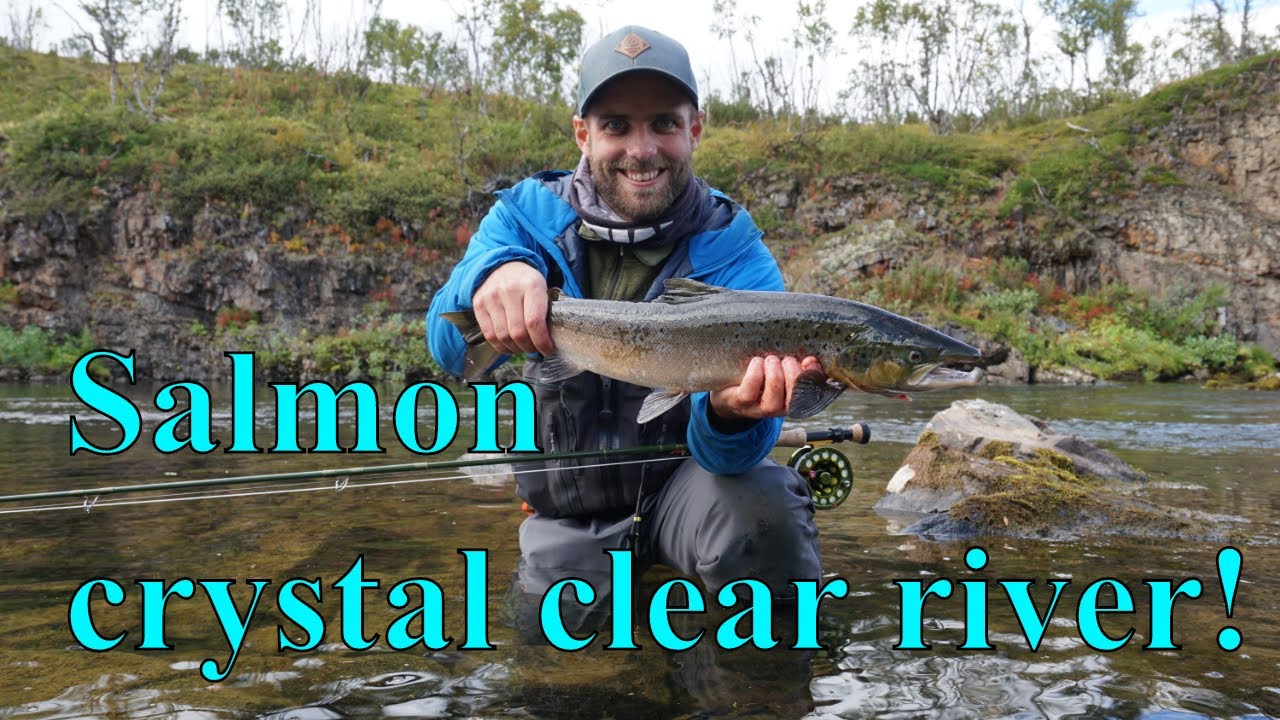 Fluefiske etter laks og røye i Finnmark / Salmon and Arctic Char Fishing in Norway (english sub).