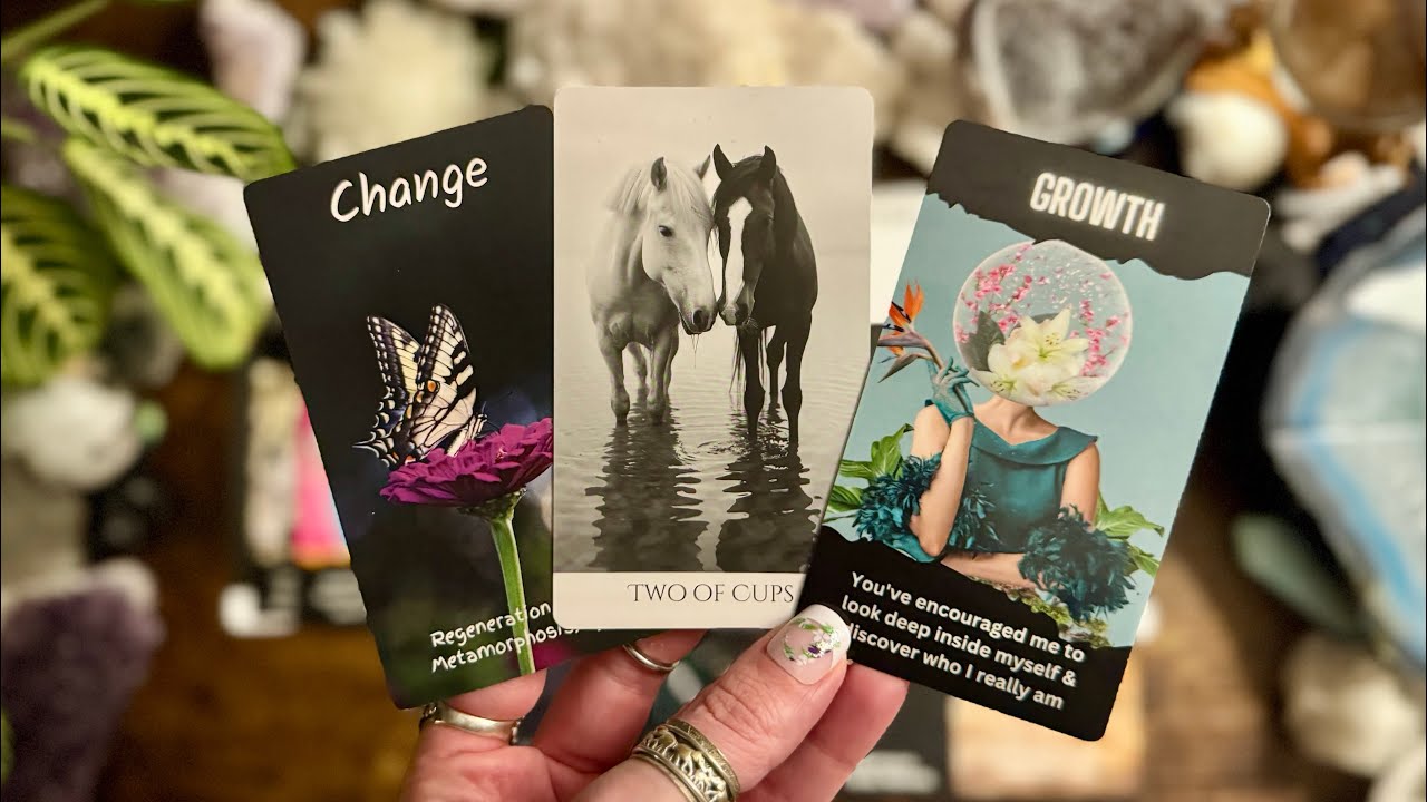 You have encouraged this person to look inside themselves and TRANSFORM! 🦋 TIMELESS LOVE READING 🦋