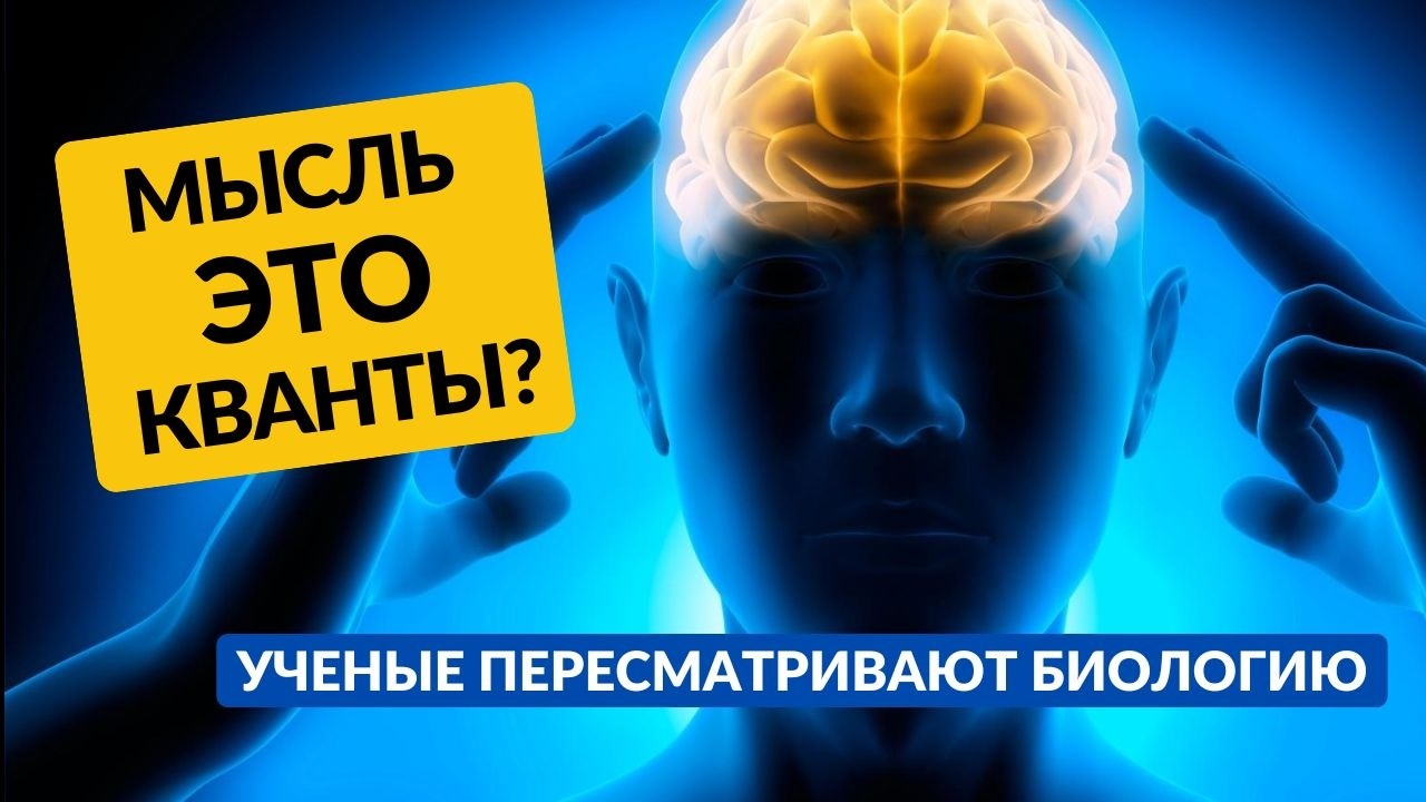 ЭТОГО НЕ МОЖЕТ БЫТЬ, НО ЭТО РАБОТАЕТ! «Квантовые процессоры» в наших клетках!