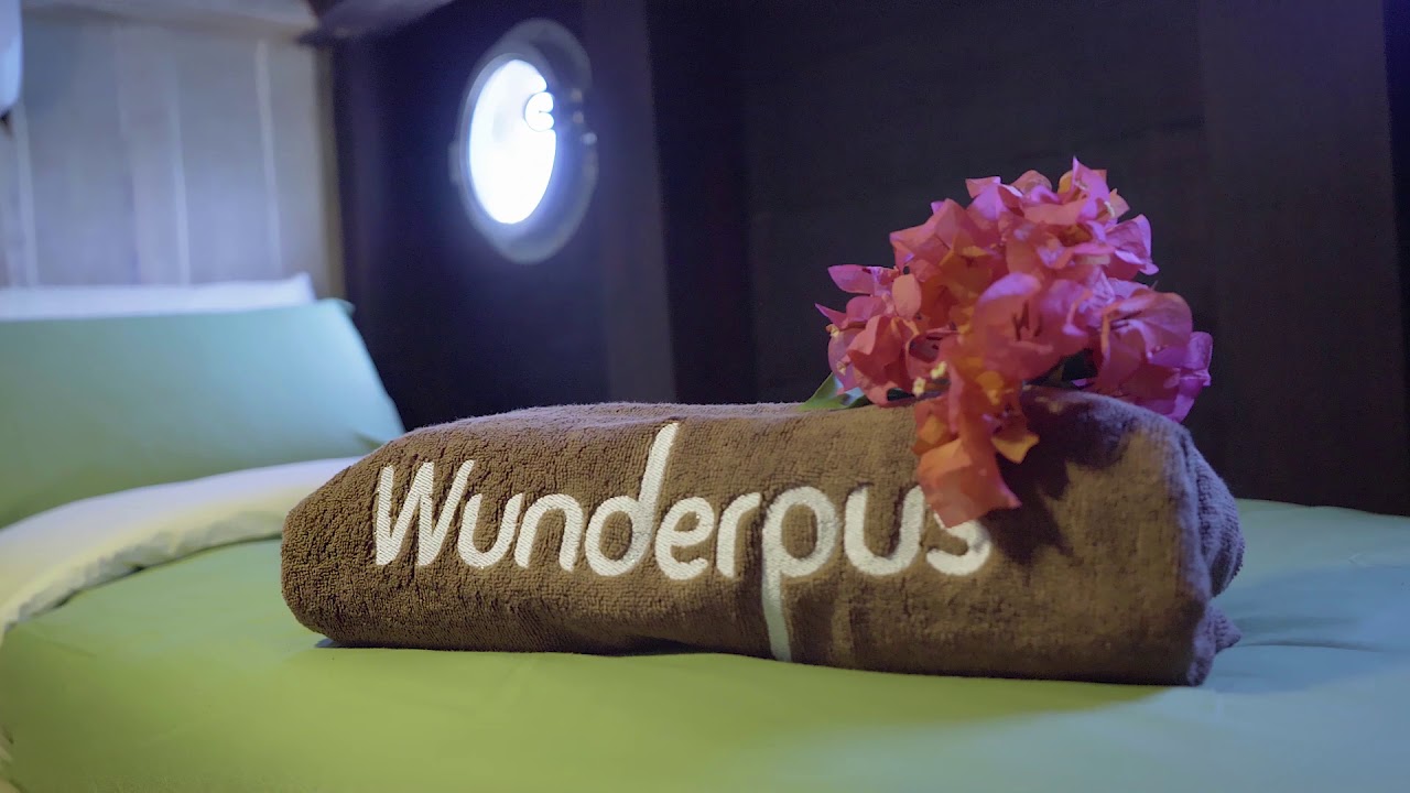 Wunderpus Interior 2021