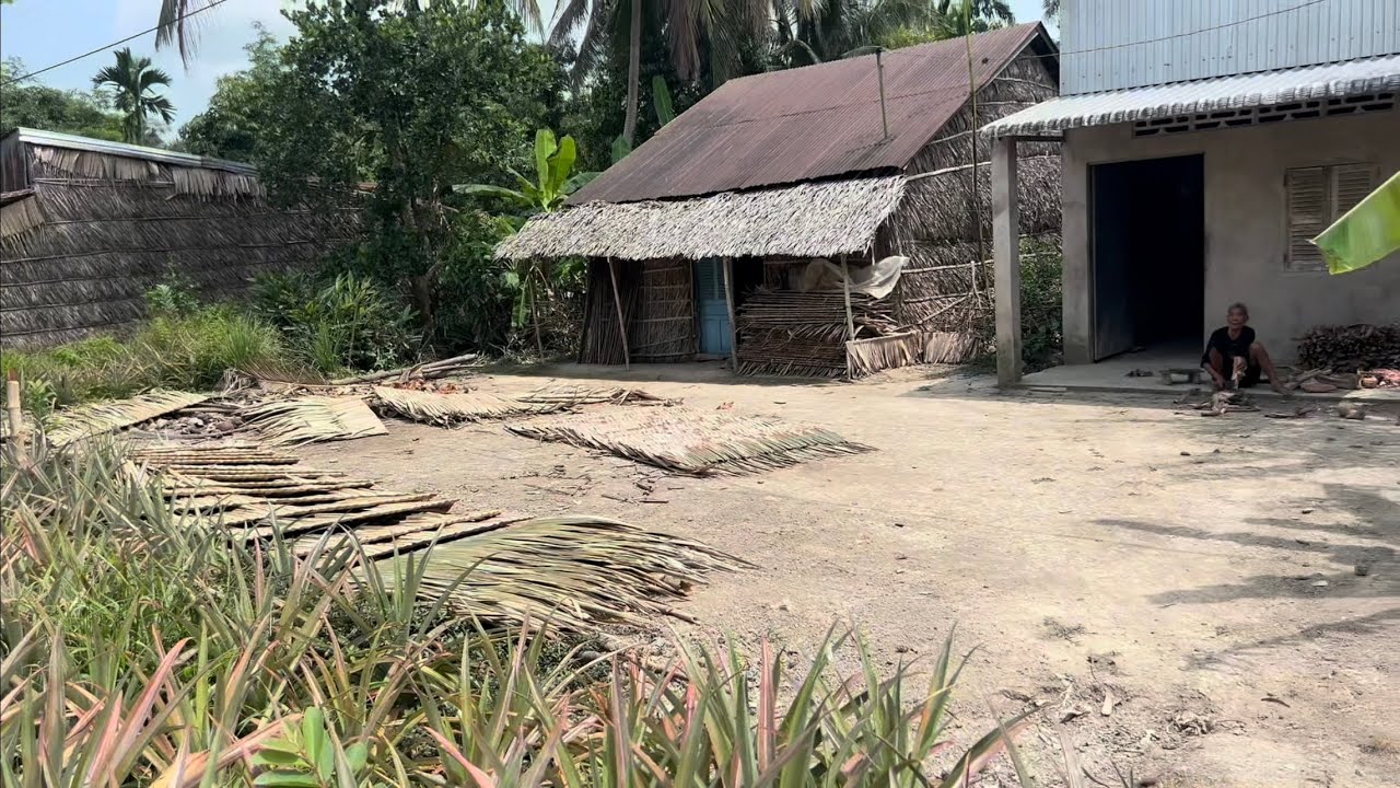 Vùng Quê Hiu Quạnh Xóm Nhà Lá Người Khơme Nơi Này Cuộc Sống Như Thế Nào 