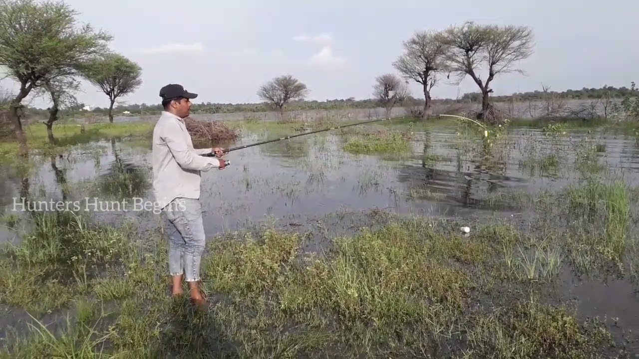 Murrel Fish Catch at Gandipet| Hyderabad Fishing Snakehead Fish