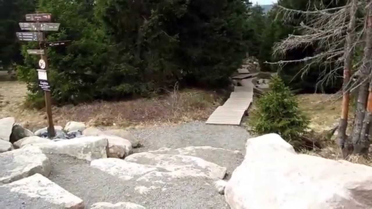 Aufstieg zum Brocken übers Eckerloch im April 2014