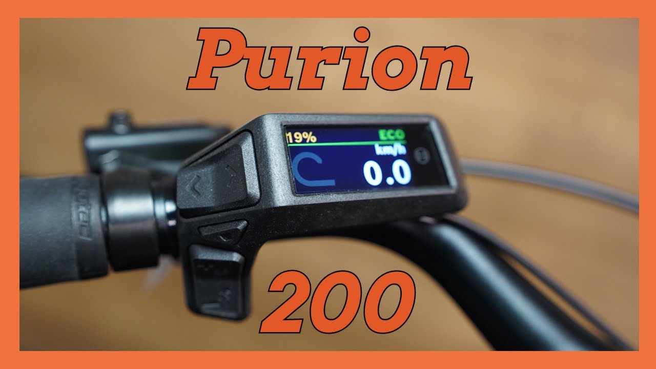Bosch PURION 200 Display // Erklärung & Funktionen