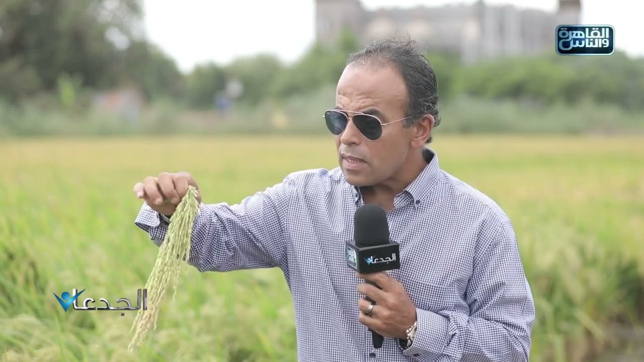 د.بسيوني زايد: السوق المصري متعطش لصنف أرز بسمتي محلي