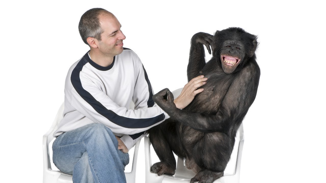 Humans are Frugivores